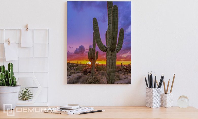 tramonto sulla valle dei cactus quadri per lufficio quadri demural