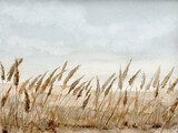 Armonia seppia tra grano e cielo