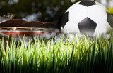 Atmosfera da campionato sul muro