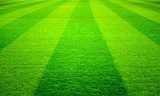 Campo in Festa: Onde di Verde