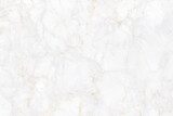 Effetto Marmo Bianco Venato