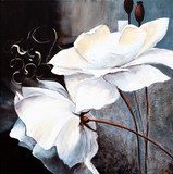 Eleganza di rose bianche su sfondo scuro