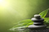 Equilibrio naturale di pietre e foglie
