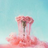 Esplosione di delicata energia rosa
