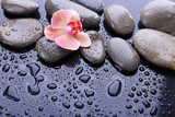 Essenza Zen con Orchidea e Sassi