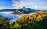 Forza Naturale e Nebbie Magiche