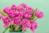 Negli abbracci dei tulipani primaverili