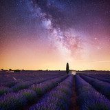 Notte stellata tra campi di lavanda