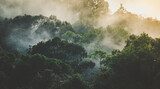 Quiete tra le fronde nebbiose