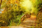Sentiero autunnale illuminato dal sole