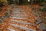 Sentiero autunnale tra scale di pietra