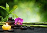 Sintonia Zen di Natura e Relax