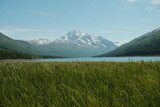 Stelle alpine sopra un lago cristallino