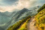 Tracce di luce tra le cime