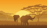 Tramonto africano con elefanti in silhouette