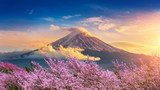 Tramonto sul Monte Fuji con fiori di ciliegio