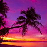 Tramonto tropicale dalle sfumature calde