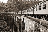 Viaggio in Bianco e Nero nella Natura Selvaggia