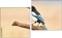 Dittico