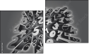 Dittico