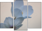 Trittico