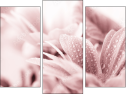 Trittico