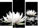 Trittico