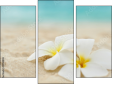 Trittico