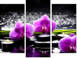 Trittico