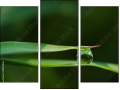 Trittico