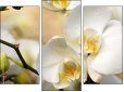 Trittico