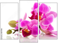 Trittico