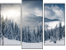 Trittico