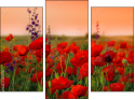 Trittico