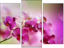 Trittico