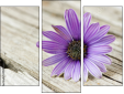 Trittico