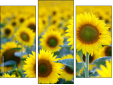 Trittico