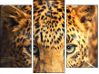 Trittico