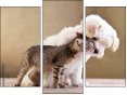 Trittico