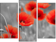Trittico
