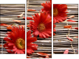 Trittico