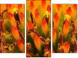 Trittico
