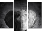 Trittico