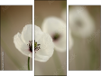 Trittico