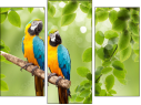 Trittico