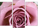 Trittico