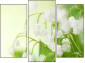 Trittico