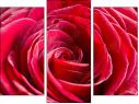 Trittico