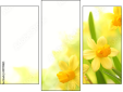 Trittico