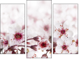 Trittico